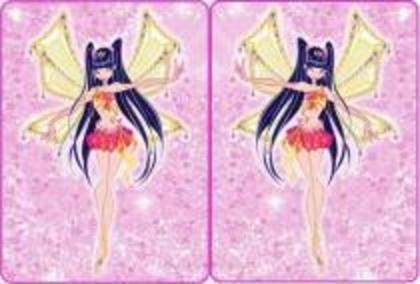 winx (77)