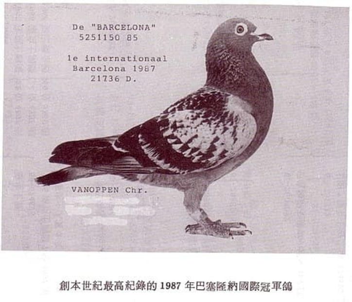 1 int Barcelona 1987 Chretien Vanoppen - Barcelona internațional