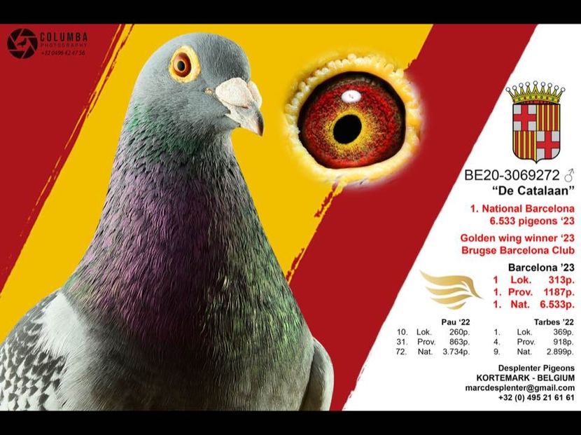  - De Catalaan 1 nat Barcelona 2023 Marc Desplenter Belgium