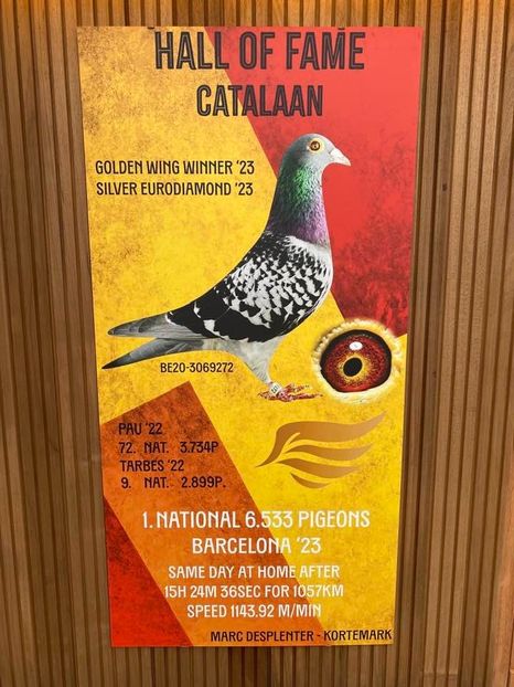  - De Catalaan 1 nat Barcelona 2023 Marc Desplenter Belgium