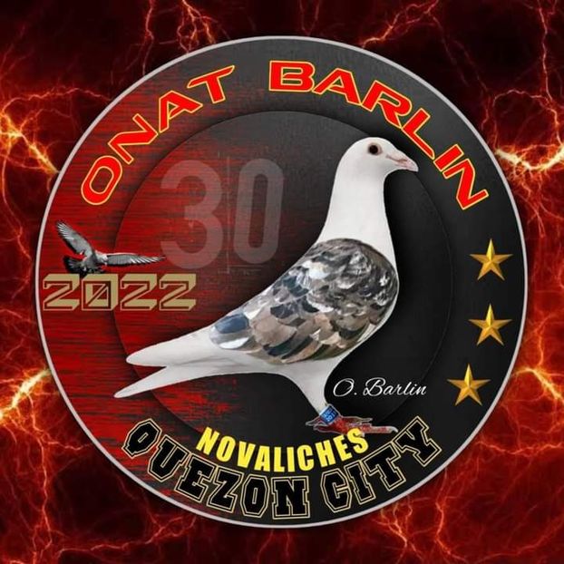  - Nu îmi aparțin 7