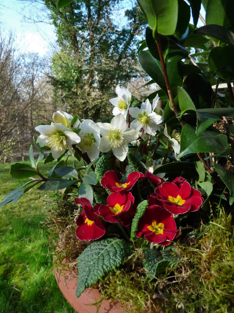  - 2024 - 01 - Primavara