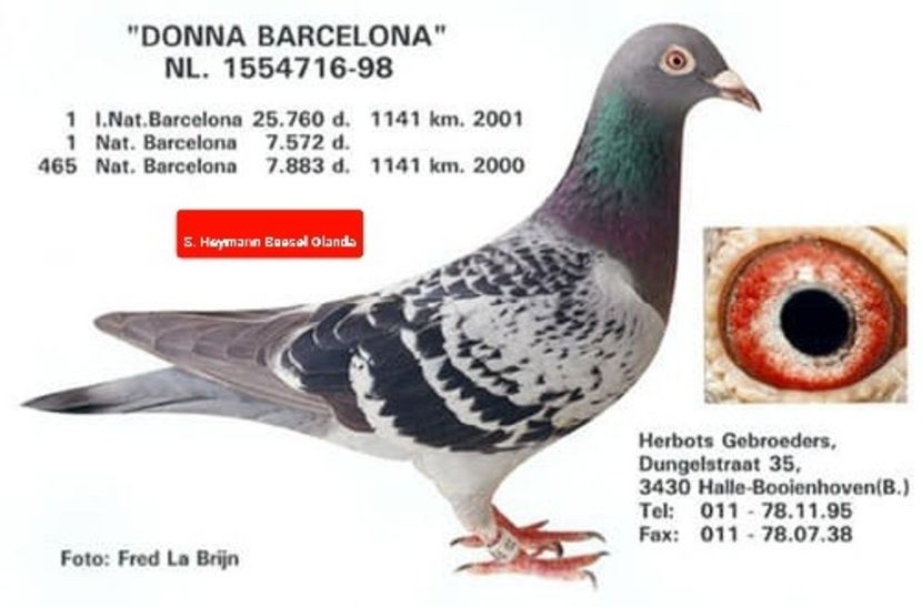 1 int Barcelona 2001 - Barcelona internațional