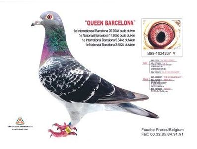 1 int Barcelona 2003 - Barcelona internațional