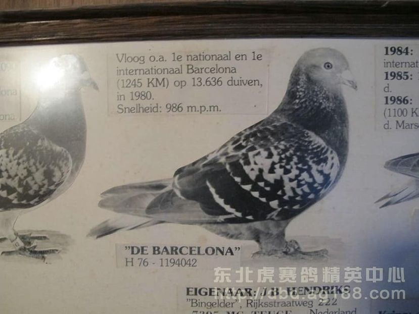 1 int Barcelona 1980 JB HENDRIX - Barcelona internațional