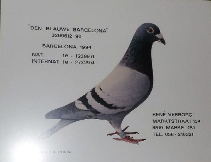 1 int Barcelona 1994 Rene Verborg - Barcelona internațional