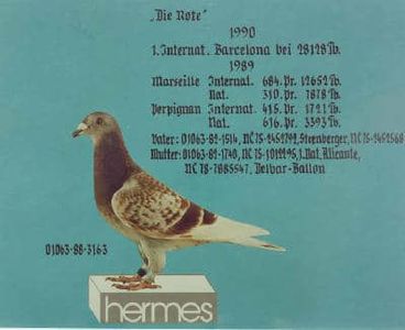 1 int Barcelona 1990 Raymund Hermes - Barcelona internațional