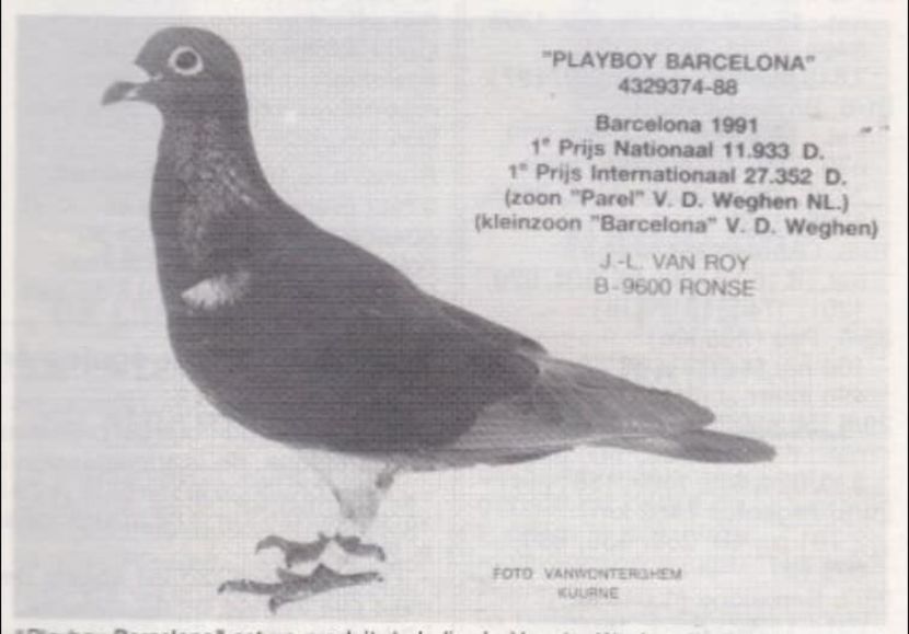 1 int Barcelona 1991 Jean Luc Van Roy - Barcelona internațional