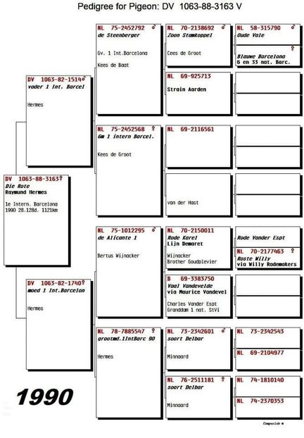 1 int Barcelona 1990 Hemes - Barcelona internațional