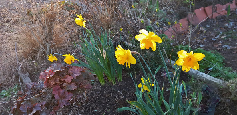  - 2024 - 01 - Primavara