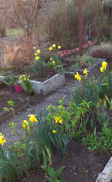  - 2024 - 01 - Primavara