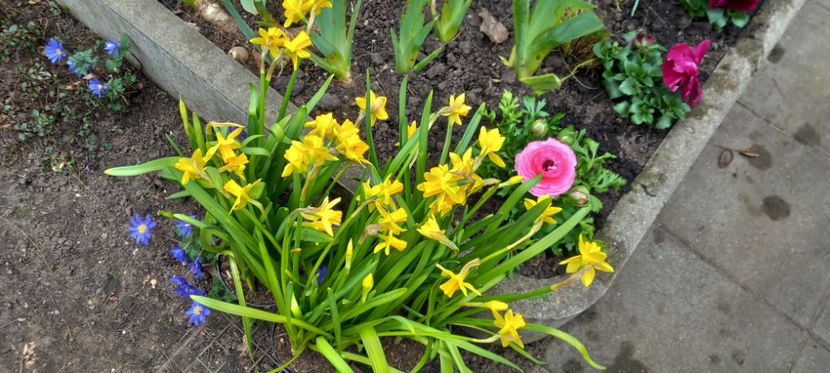  - 2024 - 01 - Primavara