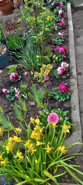  - 2024 - 01 - Primavara