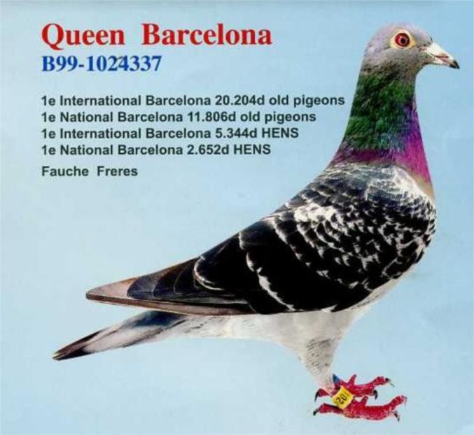 1 int Barcelona 2003 - Barcelona internațional