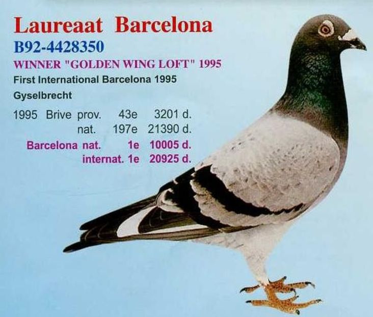 1 int Barcelona 1995 - Barcelona internațional