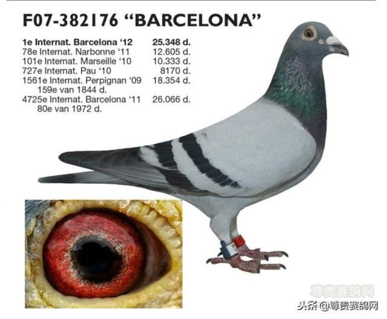 1 int Barcelona 2012 - Barcelona internațional