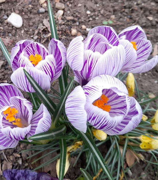  - 1 2024 Din nou cu natura impreuna !