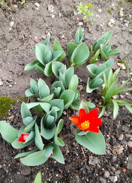  - 1 2024 Din nou cu natura impreuna !