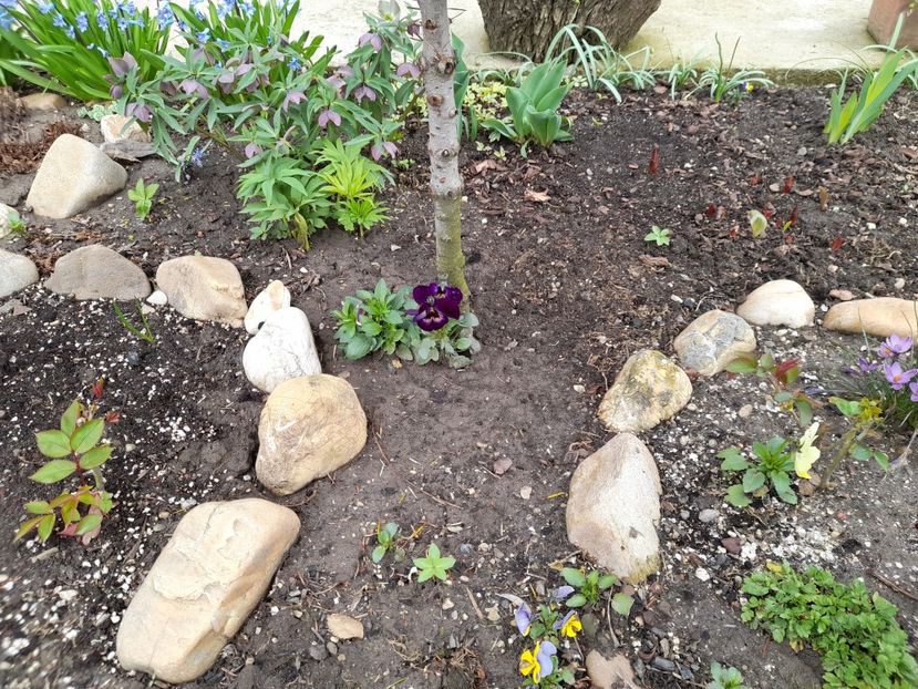  - 1 2024 Din nou cu natura impreuna !