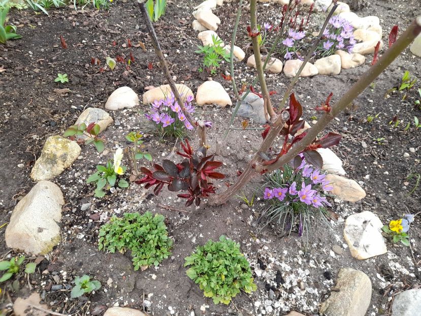  - 1 2024 Din nou cu natura impreuna !