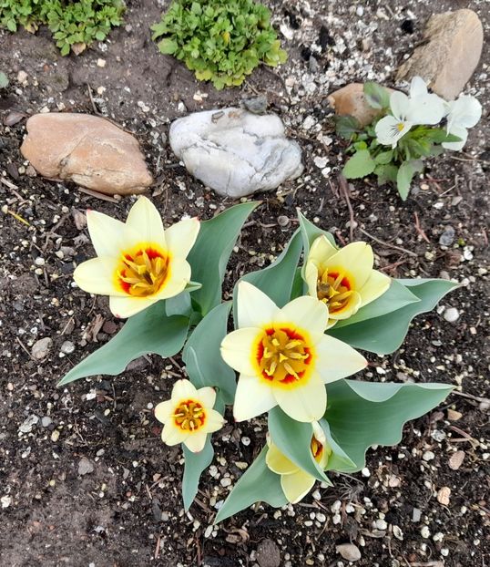  - 1 2024 Din nou cu natura impreuna !