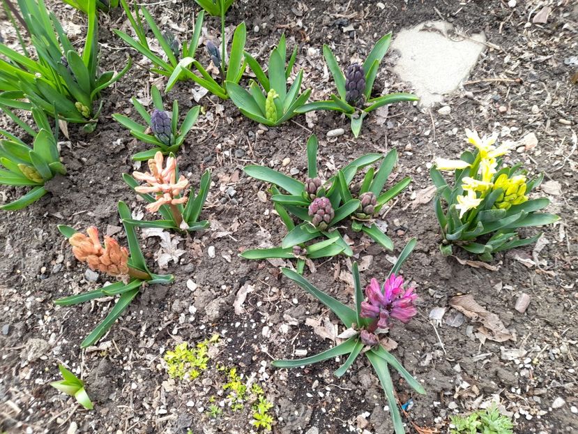  - 1 2024 Din nou cu natura impreuna !