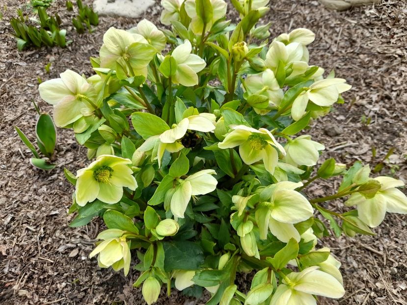  - 1 2024 Din nou cu natura impreuna !