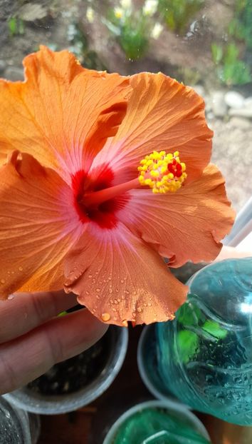  - 1 2024 Din nou cu natura impreuna !