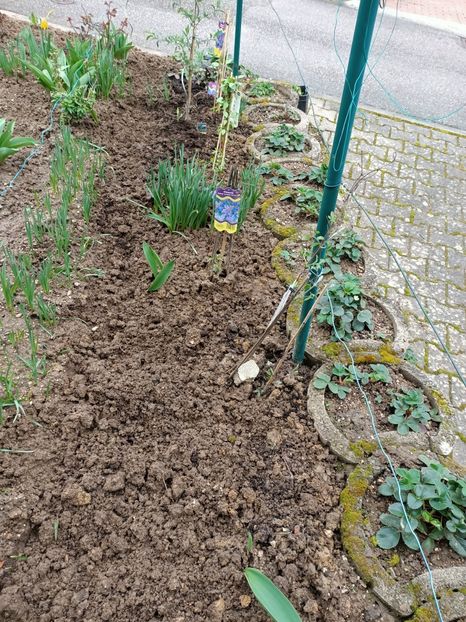 Img.2024.03.16 - A doua grădină