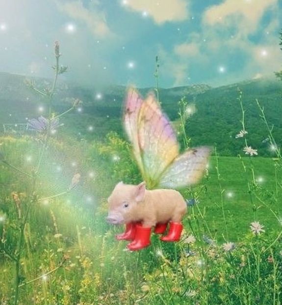 @red.lacewing - Collection of Tintypes