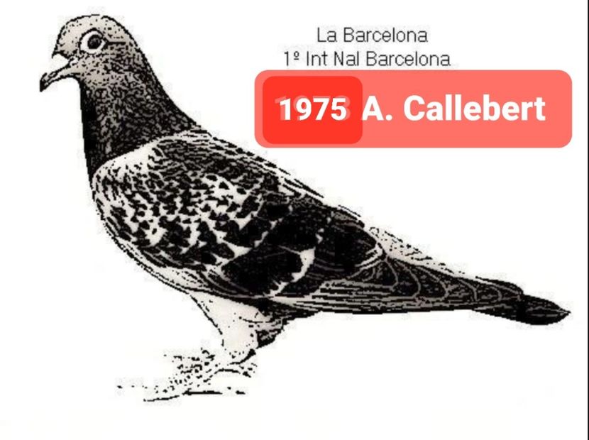 1 int Barcelona 1975 - Barcelona internațional