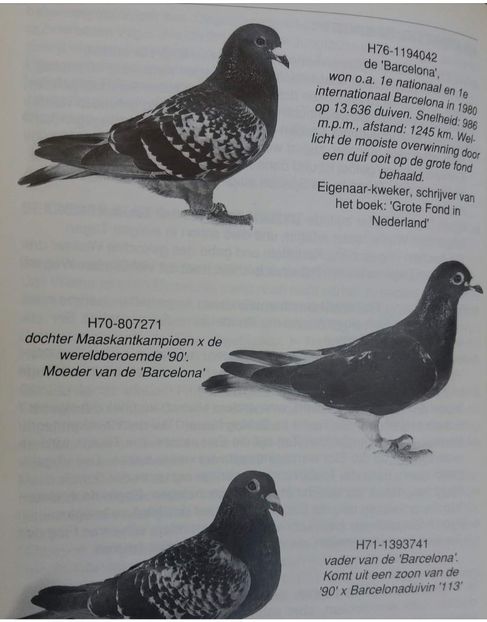 1 int Barcelona 1980 - Barcelona internațional