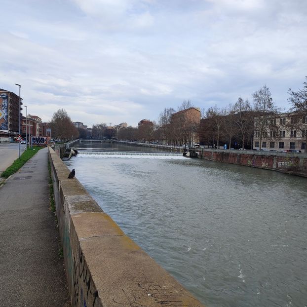  - Torino