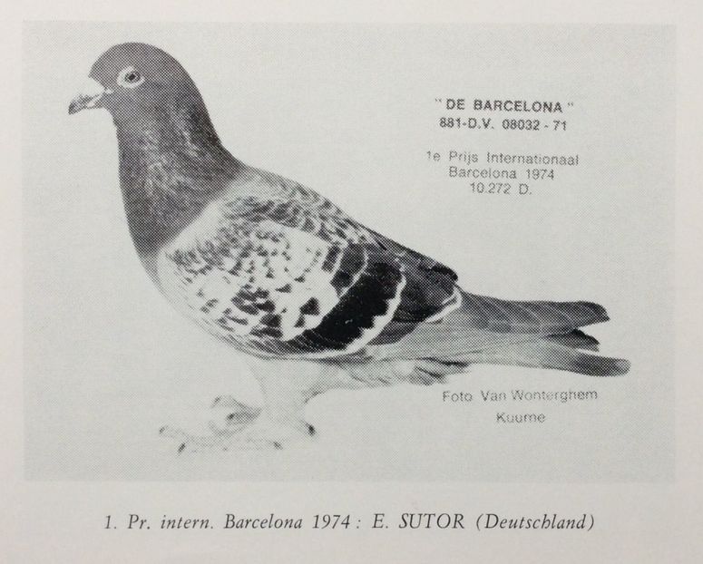 1 int Barcelona 1974 - Barcelona internațional