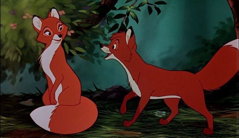 why? — what did you get me? - Collection of Tintypes