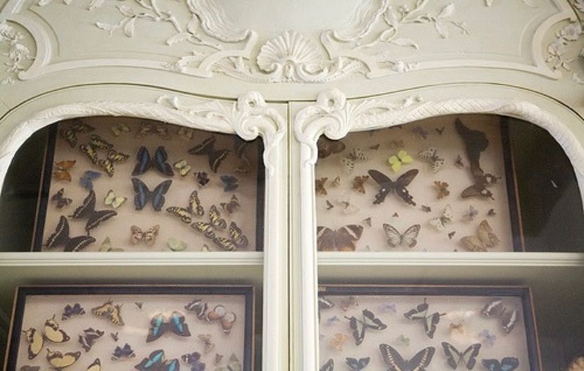 that is cruel! you know I’ll ransack the entire house looking for it. - Collection of Tintypes