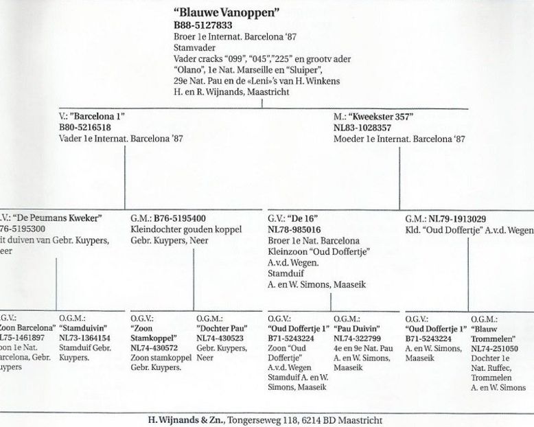 Frate 1 int Barcelona 1987 - Barcelona internațional