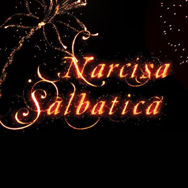 Narcisa Salbatica(2010-2011) - Alege serialul romanesc preferat