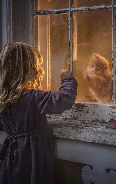  - ---------------- Z- Tot timpul aici!
