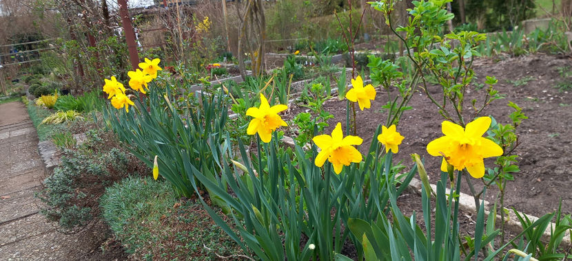  - 2024 - 01 - Primavara