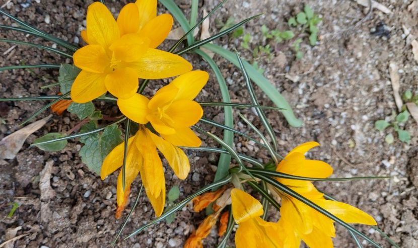  - 2024 - Grădinița de la bloc