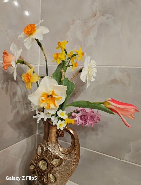  - Narcise 2017 2023 24