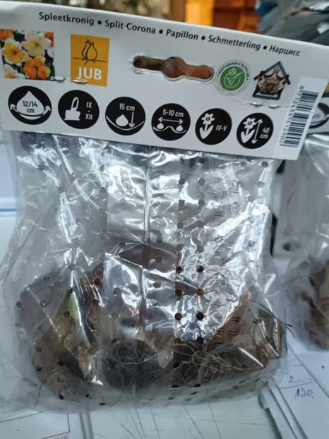  - Narcise Spleetkronig Butterfly Mix