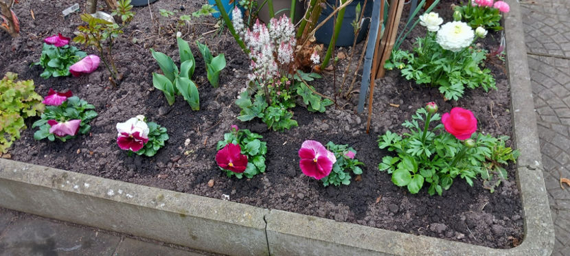  - 2024 - 01 - Primavara