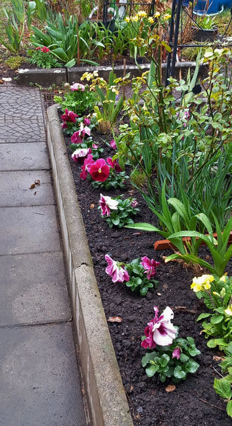  - 2024 - 01 - Primavara