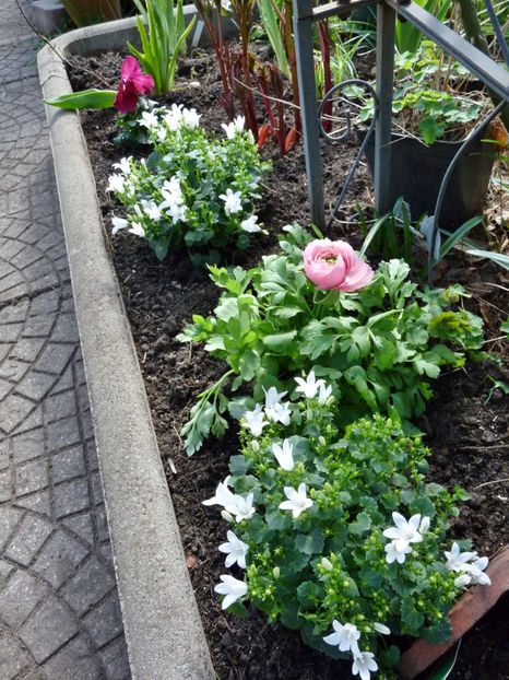  - 2024 - 01 - Primavara