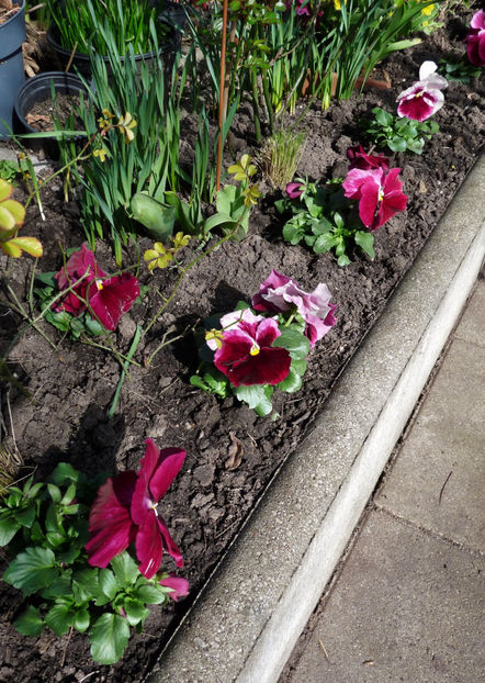  - 2024 - 01 - Primavara