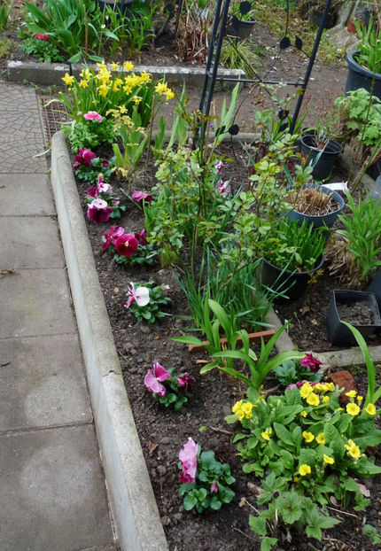  - 2024 - 01 - Primavara