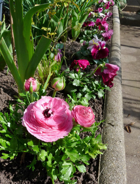  - 2024 - 01 - Primavara