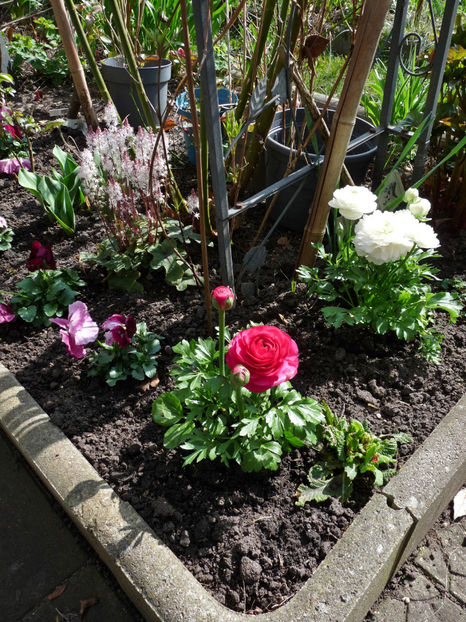  - 2024 - 01 - Primavara